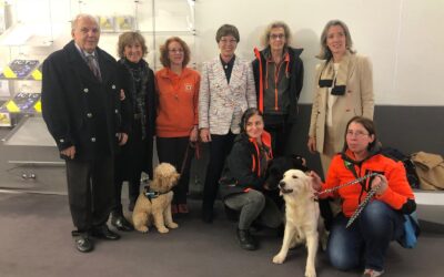 Fieracavalli. Presentato il servizio Pet Teherapy dell’Ulss9