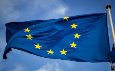 Tosi. Decisiva l’azione di FI per Fitto vice-presidente della Commissione Europea