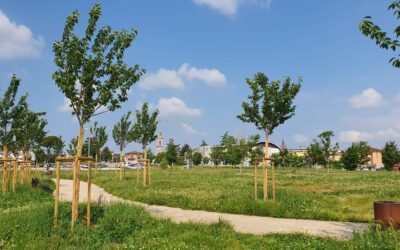 A Bussolengo nuove opere di piantumazione per un comune sempre più verde