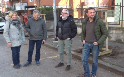 Verde pubblico: a Borgo Venezia piantumati 22 nuovi alberi
