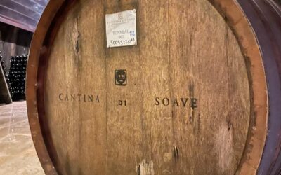 Levata di scudi a difesa del Valpolicella e dei vini veneti