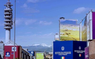Nominati i vertici di VeronaFiere