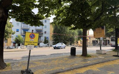 Due tigli a rischio crollo, abbattimento urgente in via Pallone
