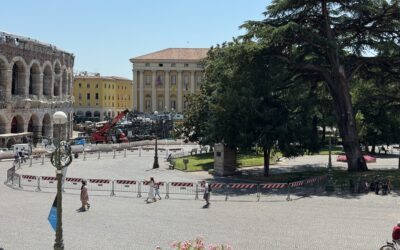 Il grande Cedro della Bra rischia di crollare