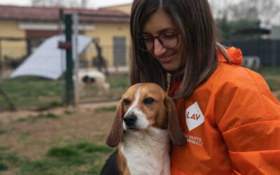 Battaglia fra Lega Anti Visezione e Aptuit per 1600 beagle