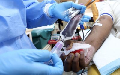 Test anti West Nile nelle donazioni di sangue in Veneto