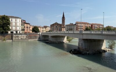 Confcommercio contro il consigliere che ha deriso i negozi che hanno chiuso